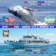 Whale Watching Tours